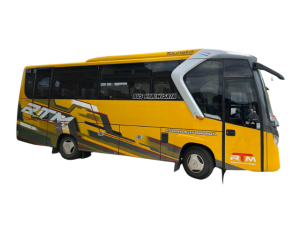 MEDIUM BUS